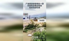 英德洪水爆料视频最新版,视频揭示惊人现场，救援行动紧张进行中