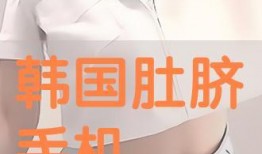 肚脐韩国手机在线观看,韩国手机背后的情感纠葛与时代变迁